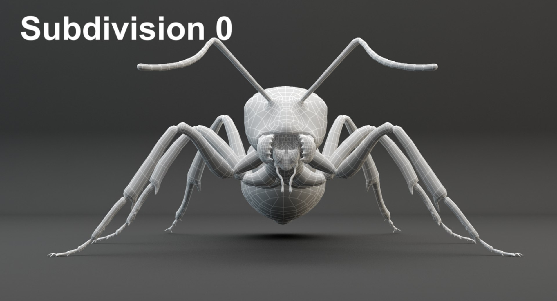 rigged ant 3D model https://p.turbosquid.com/ts-thumb/l5/6MrXt5/C71gt8jp/0wire_0/jpg/1541002319/1920x1080/fit_q87/f779988dbdecac234c7af33aa4534636217f20e1/0wire_0.jpg
