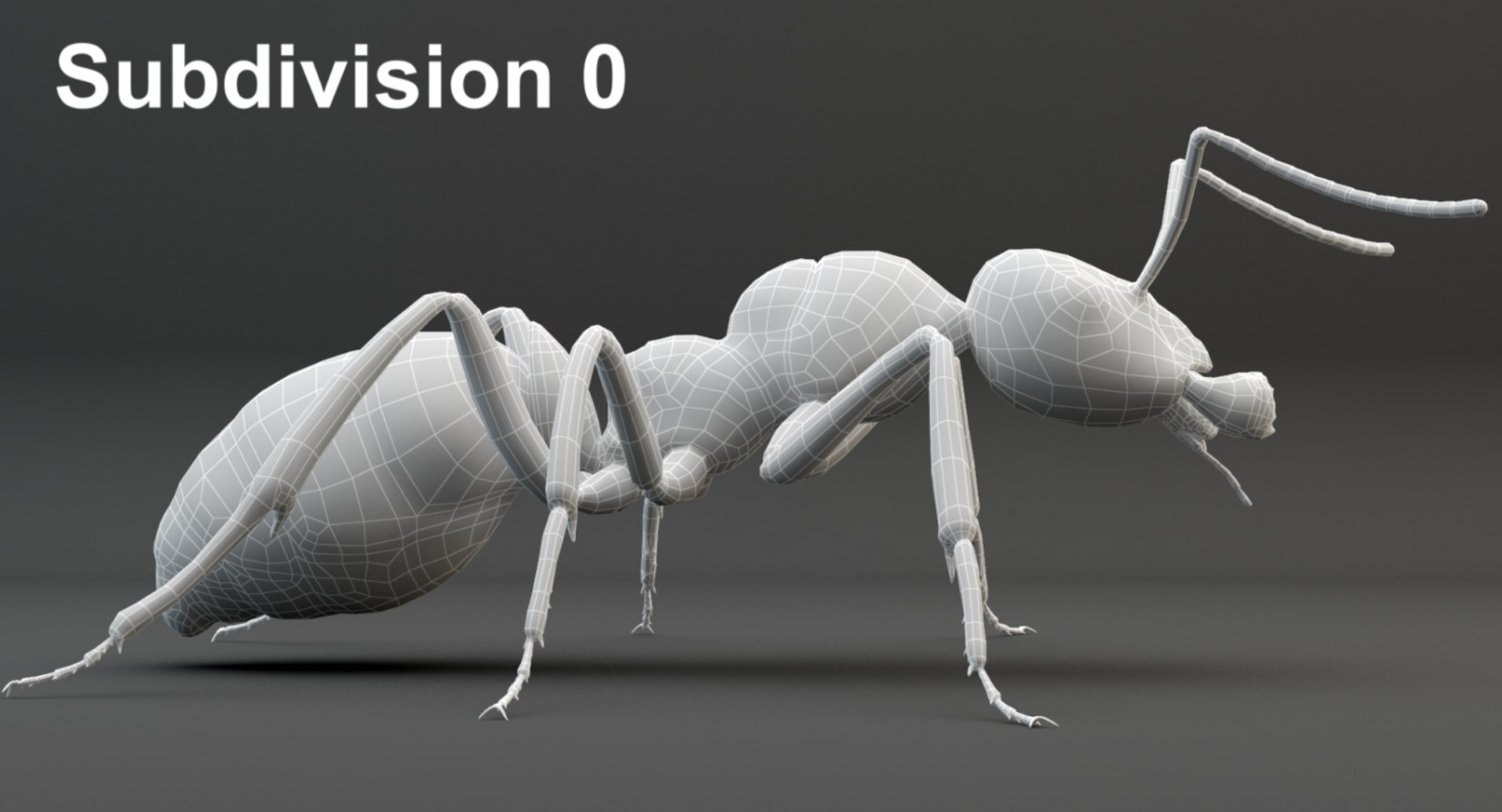 rigged ant 3D model https://p.turbosquid.com/ts-thumb/l5/6MrXt5/Vx5G9yJ9/0wire_1/jpg/1541002319/1920x1080/fit_q87/2c2e80e9ff85159588e667e04ead2f77c849ddce/0wire_1.jpg