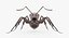 rigged ant 3D model