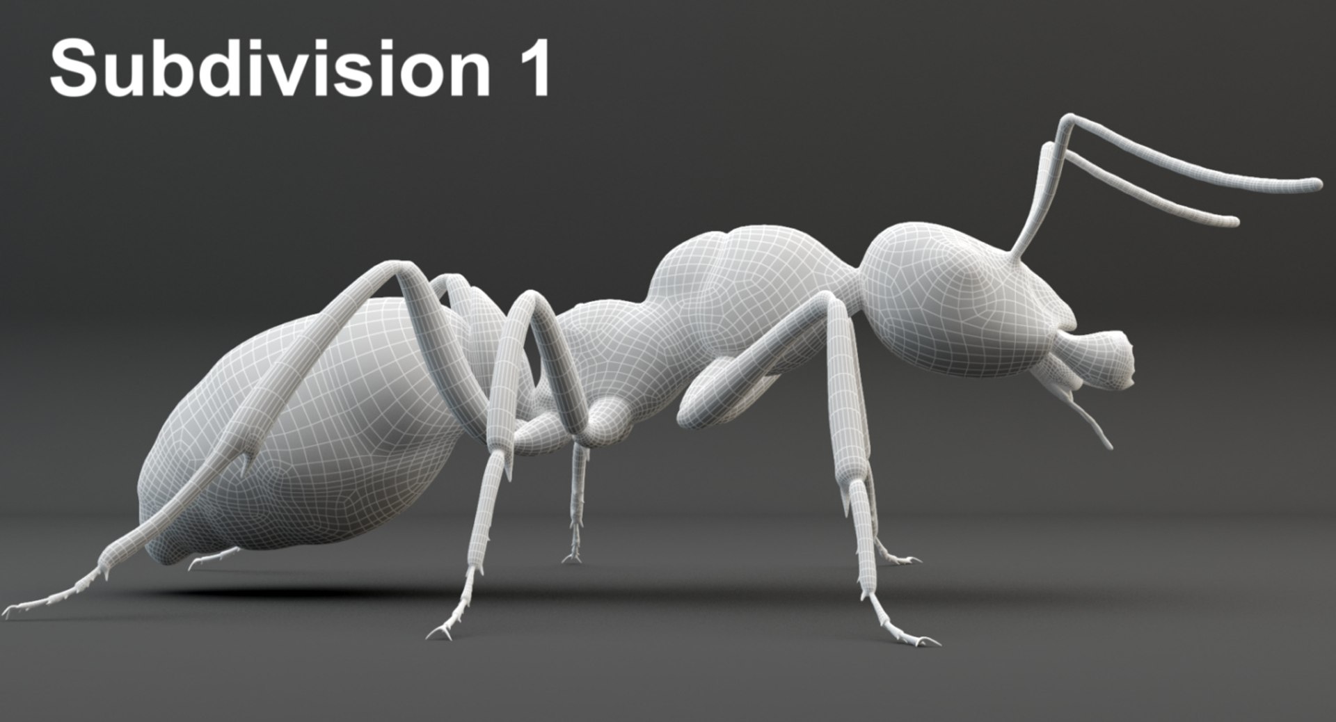 rigged ant 3D model https://p.turbosquid.com/ts-thumb/l5/6MrXt5/ndn99lj4/1wire_1/jpg/1541002319/1920x1080/fit_q87/4ab7a0c02cc2a2c22d44b2d6aa41776e6fb2e647/1wire_1.jpg