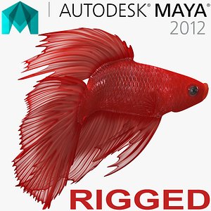 red crowntail betta fish 3D model