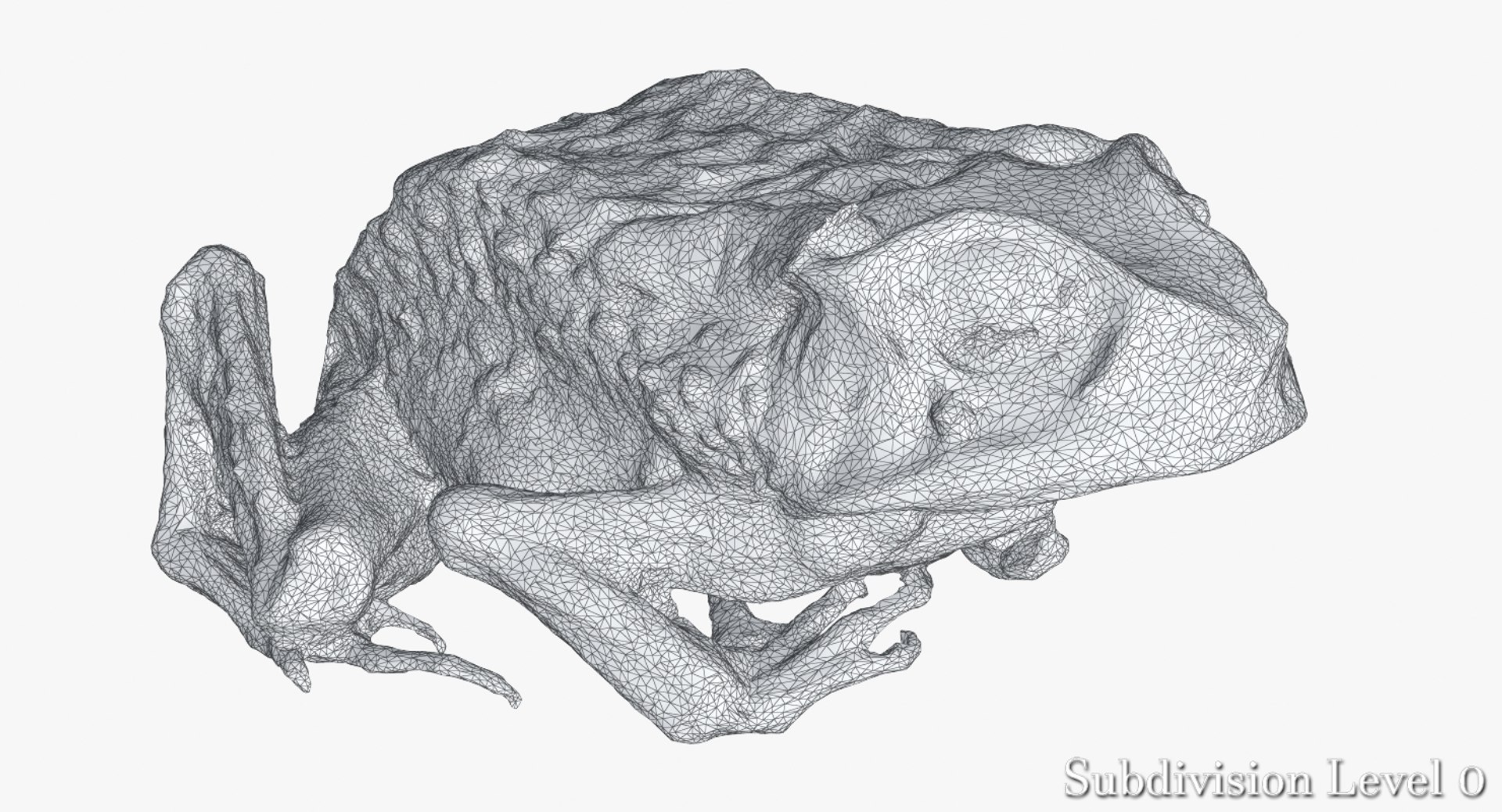 Dead Frog 3d Model