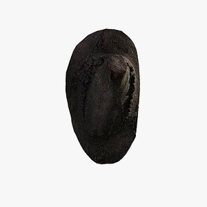 Anydrafts Cinnamomum burmannii Burl 02