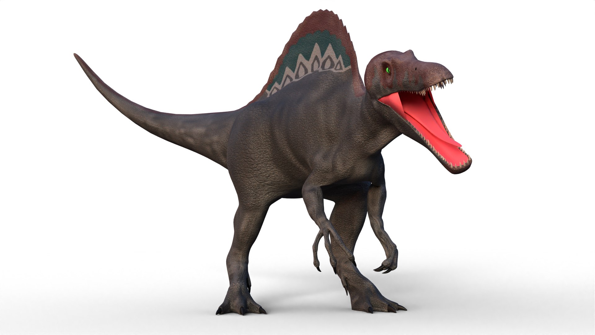 Dinosaur Bundle 01 3D model https://p.turbosquid.com/ts-thumb/l5/EsHEIa/P9/spinosaurus_0001/png/1791879504/1920x1080/fit_q87/9bf13e68426a3d46ff18fa37ad89ffe76bdc9a5b/spinosaurus_0001.jpg