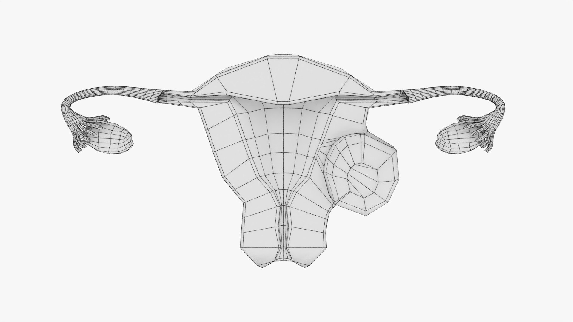 Uterus normal versus  fibroid types 3d set 3D model https://p.turbosquid.com/ts-thumb/l5/FHKntk/22/wf0001/jpg/1770829993/1920x1080/fit_q87/362b3bd735f1b108c97916d1143e591dd529d728/wf0001.jpg