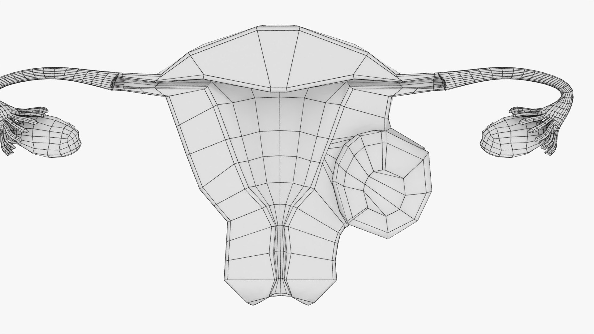 Uterus normal versus  fibroid types 3d set 3D model https://p.turbosquid.com/ts-thumb/l5/FHKntk/EB/wf0007/jpg/1770829996/1920x1080/fit_q87/24d1cab04b92ed1cd1a98d8e354d44b0ed9b12da/wf0007.jpg
