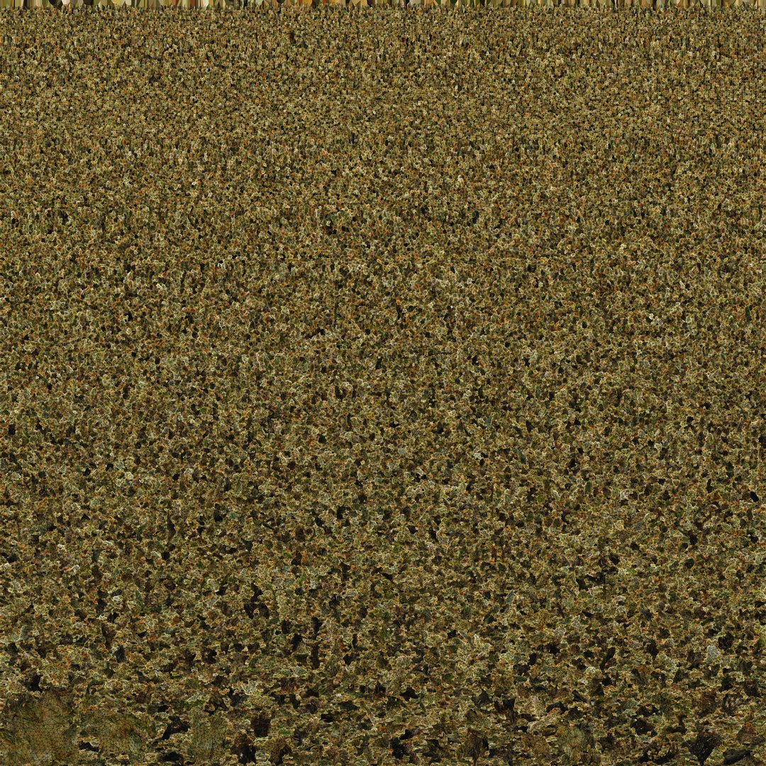 3D model Ultimate Cannabis Collection https://p.turbosquid.com/ts-thumb/l5/JrIcyp/0A/jar_uv/jpg/1673678602/1920x1080/fit_q87/190474727b9ca336e01a97e999f6ebb8b6626e0a/jar_uv.jpg