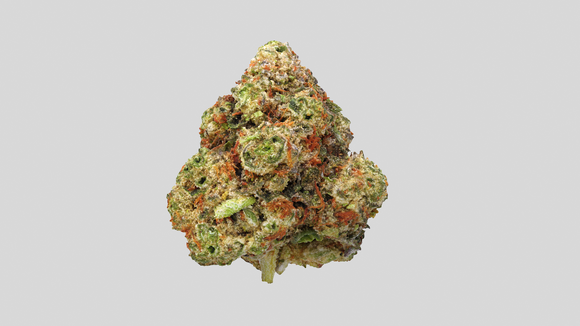 3D model Ultimate Cannabis Collection https://p.turbosquid.com/ts-thumb/l5/JrIcyp/1A/sdog3tt/png/1673678188/1920x1080/turn_fit_q99/09f95dc0c6f8ef1ae8ce4e1e3618e67528471a64/sdog3tt-1.jpg