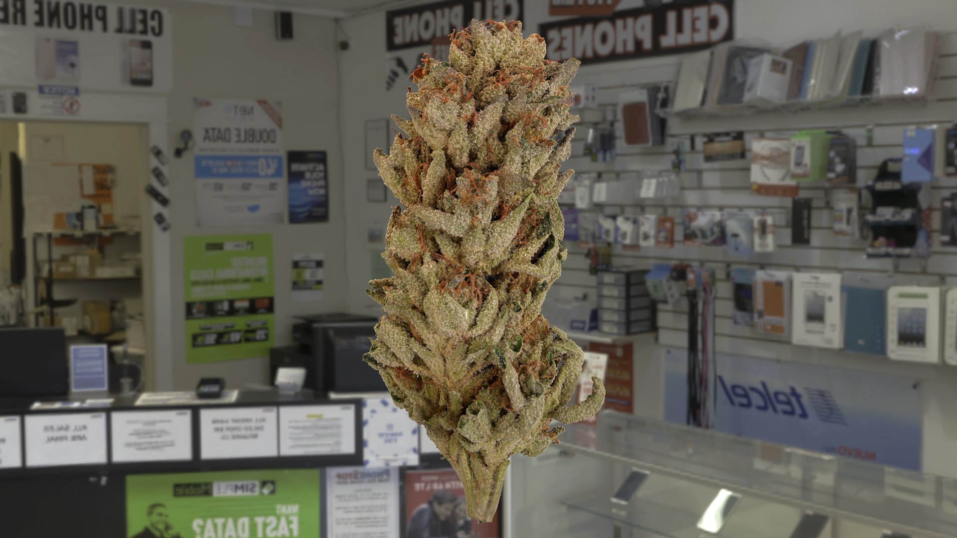 3D model Ultimate Cannabis Collection https://p.turbosquid.com/ts-thumb/l5/JrIcyp/1P/mrmelon_r2cc3/png/1673678122/1920x1080/fit_q87/c9f23f89f9492ab2977dd8529db2e50436d9faa7/mrmelon_r2cc3.jpg