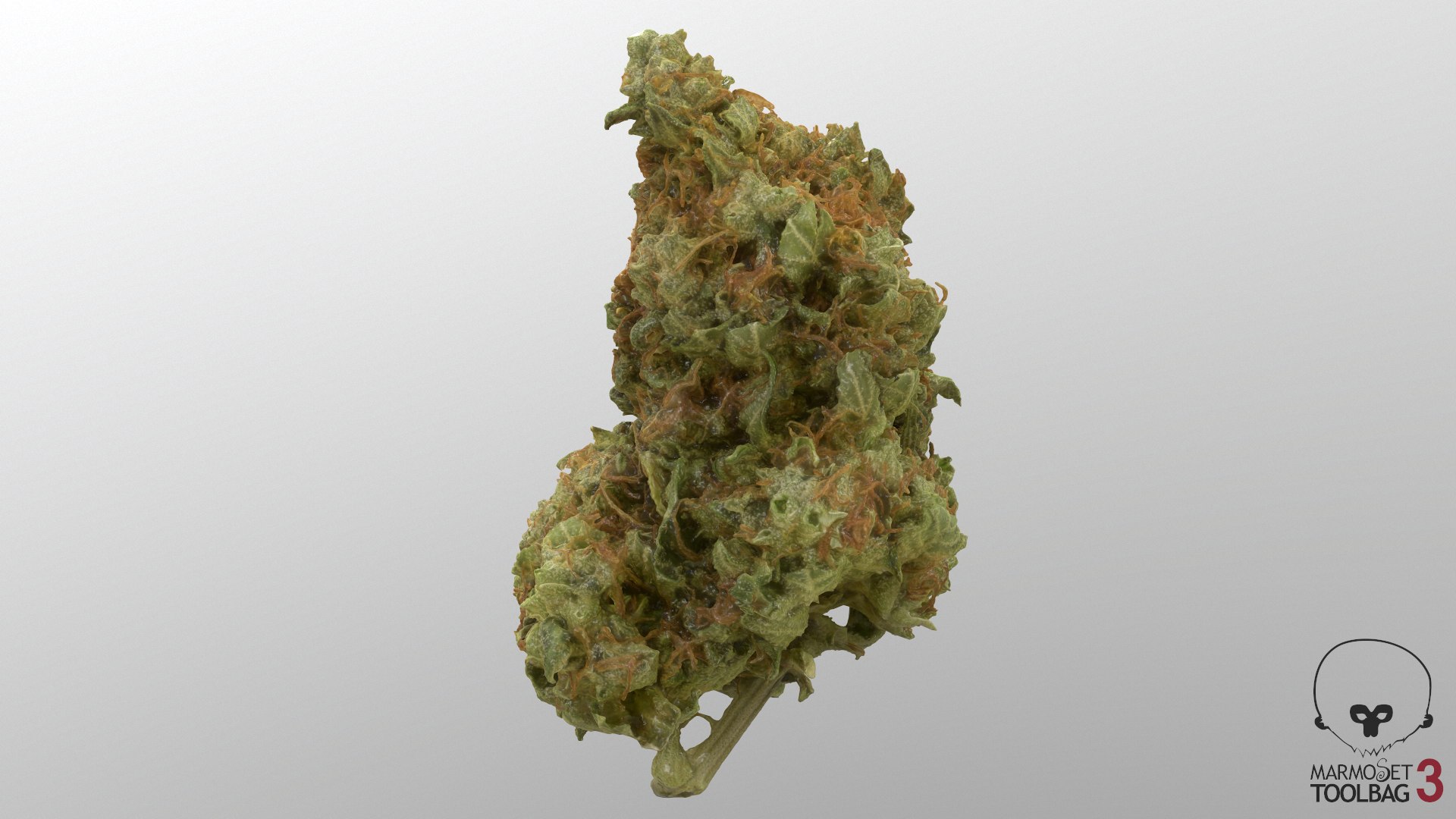 3D model Ultimate Cannabis Collection https://p.turbosquid.com/ts-thumb/l5/JrIcyp/6d/screenshot1690/png/1673679818/1920x1080/fit_q87/1bf30df631b7888e7f96cdc65d9594de3a867c1a/screenshot1690.jpg