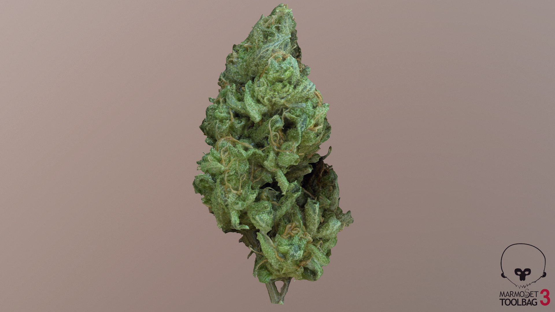 3D model Ultimate Cannabis Collection https://p.turbosquid.com/ts-thumb/l5/JrIcyp/6w/screenshot1692/png/1673679937/1920x1080/fit_q87/5a04a8dbc3c5ad546ce860223ac9346c10cd6639/screenshot1692.jpg
