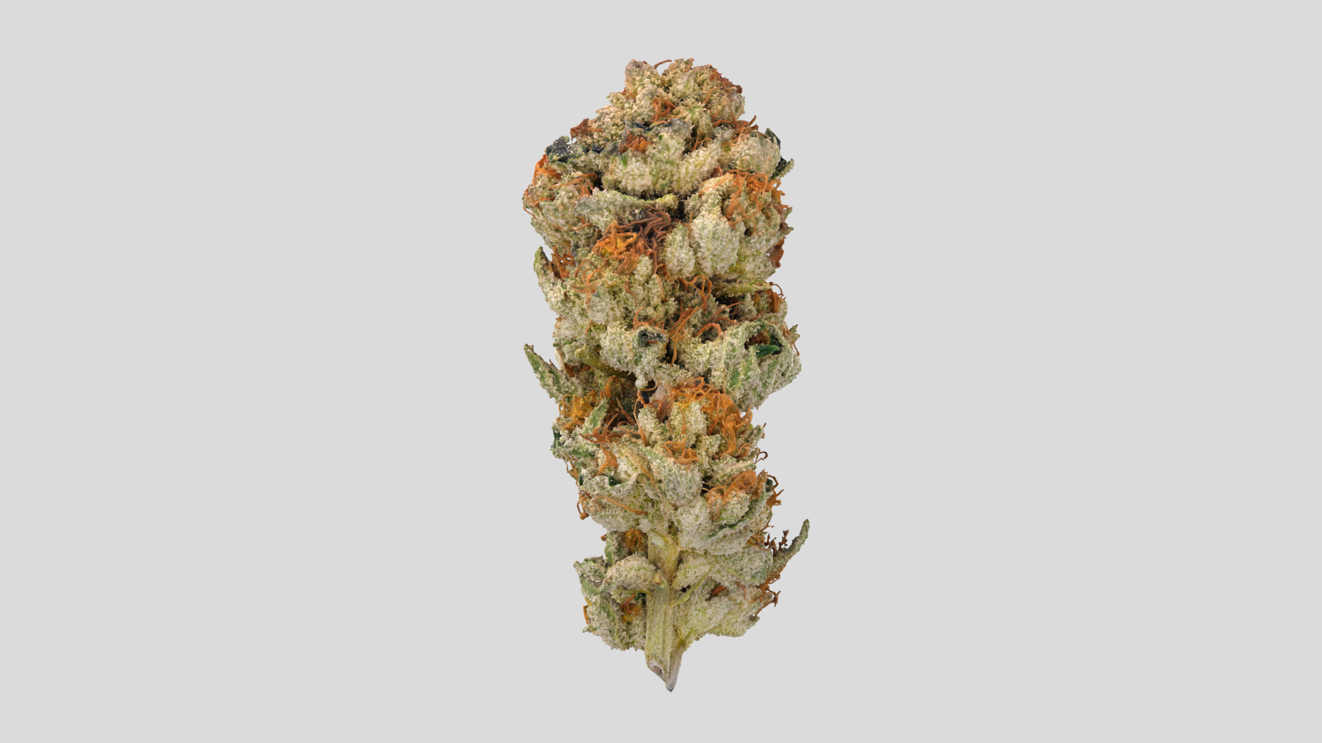 3D model Ultimate Cannabis Collection https://p.turbosquid.com/ts-thumb/l5/JrIcyp/7C/gmott/png/1673677935/1920x1080/turn_fit_q99/daf11e8dd24283e3413dda7bec07bb7550264561/gmott-1.jpg