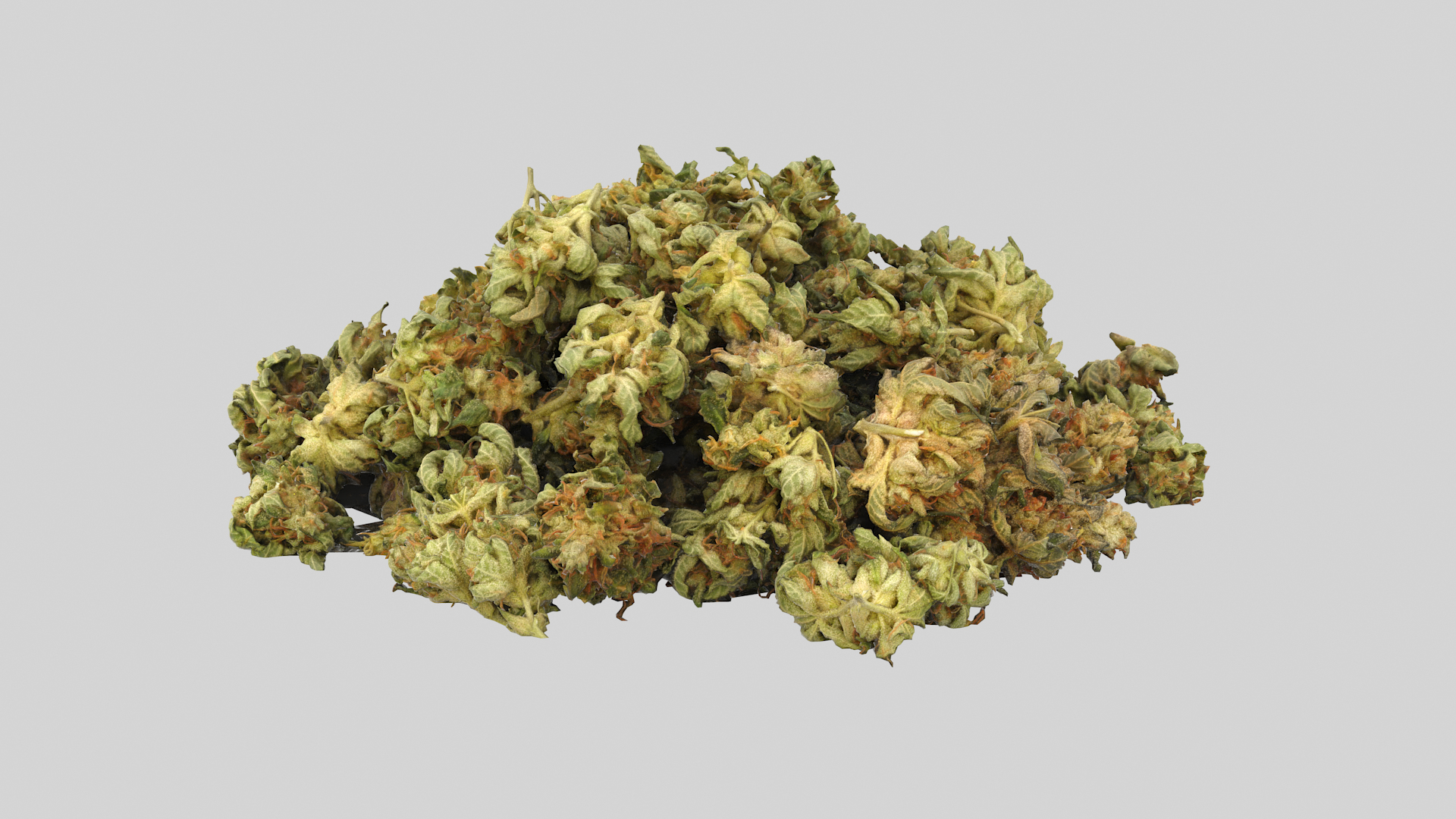3D model Ultimate Cannabis Collection https://p.turbosquid.com/ts-thumb/l5/JrIcyp/7N/cannabispile01tt/png/1673679010/1920x1080/turn_fit_q99/692e46cf6d41a331042659b61da98af6d908ef76/cannabispile01tt-1.jpg