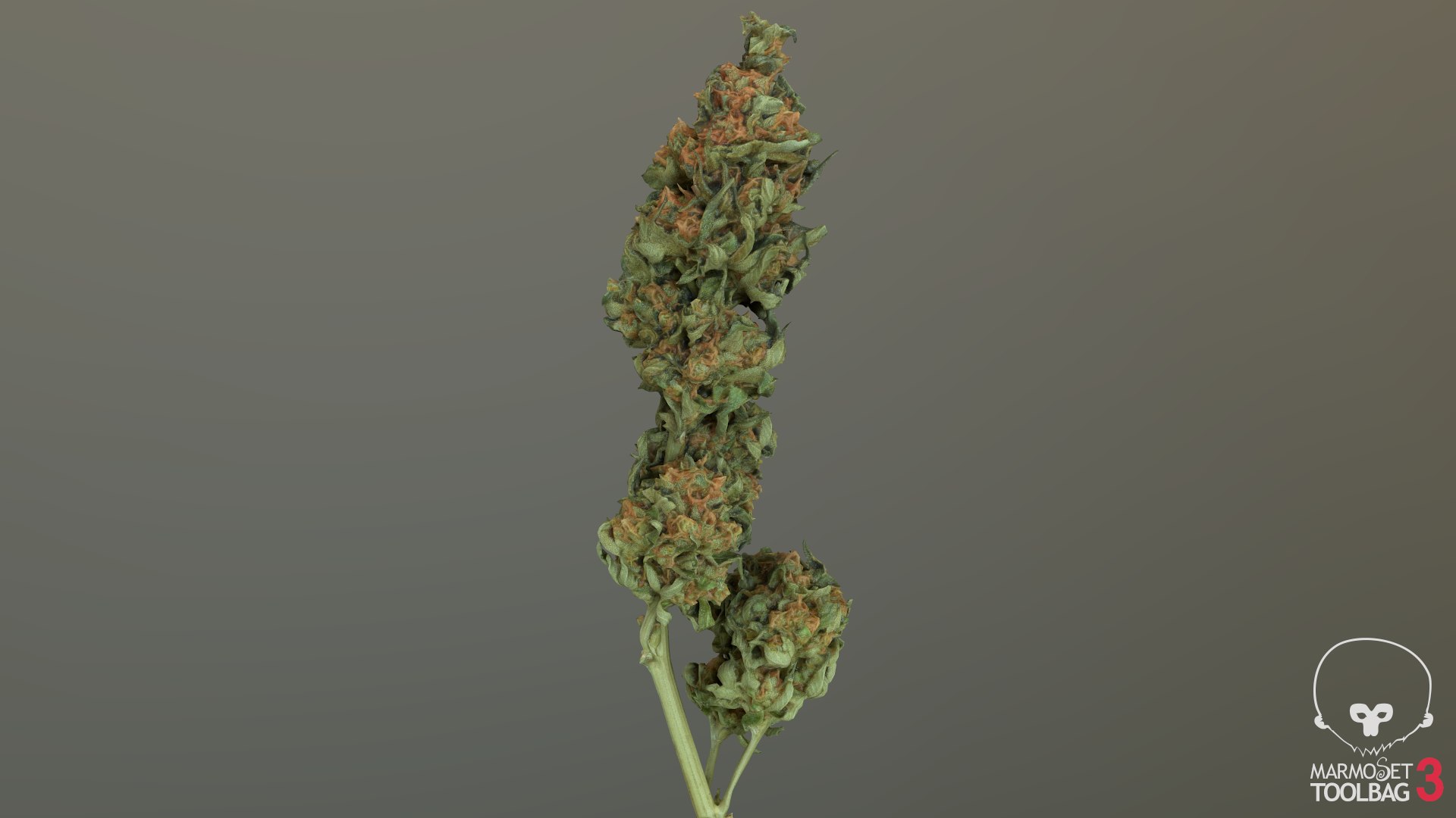 3D model Ultimate Cannabis Collection https://p.turbosquid.com/ts-thumb/l5/JrIcyp/8A/screenshot490/png/1673679738/1920x1080/fit_q87/a0c60cad66a43490e16a2305e89492f17c9ff8e0/screenshot490.jpg