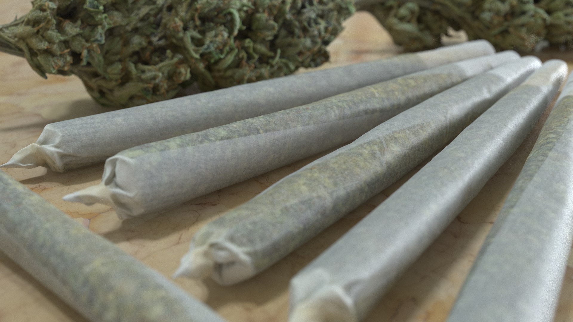3D model Ultimate Cannabis Collection https://p.turbosquid.com/ts-thumb/l5/JrIcyp/8S/joint1_r1c/png/1673678413/1920x1080/fit_q87/f647dd9f9089cd57034de38409d289910673eb39/joint1_r1c.jpg