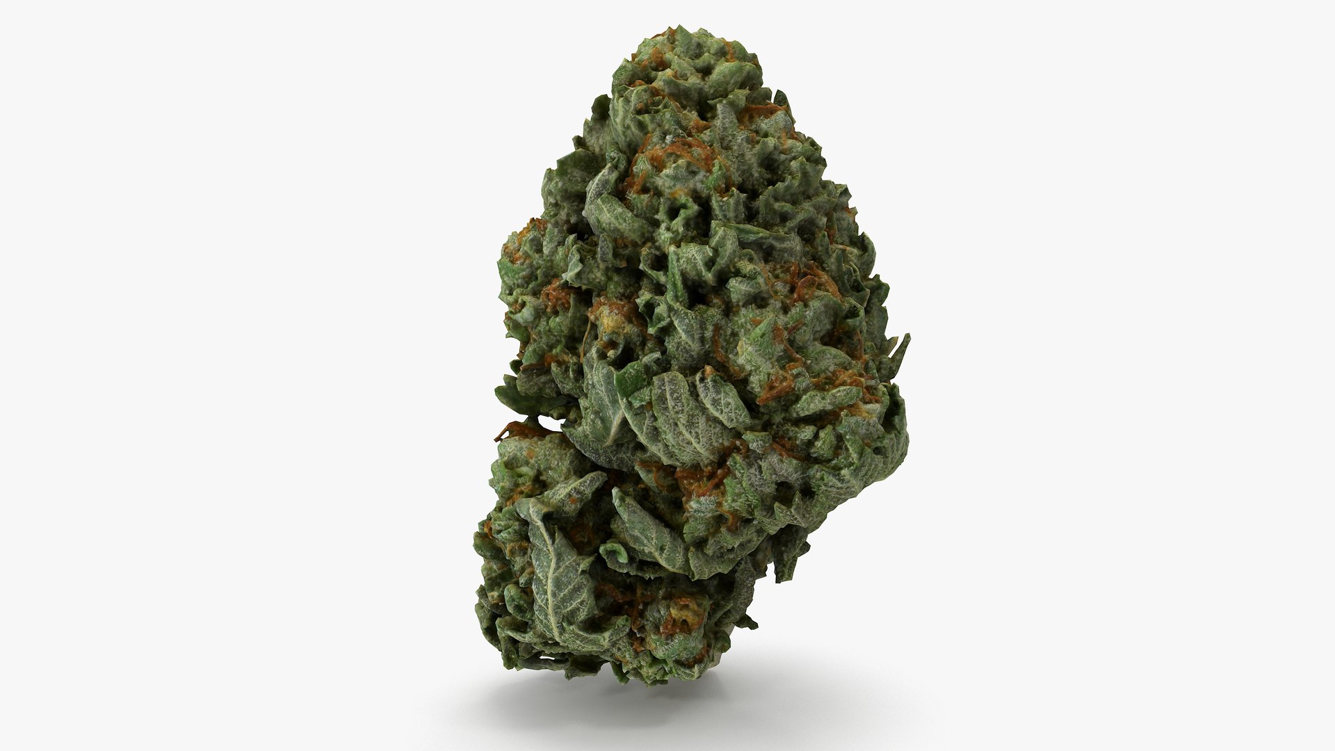 3D model Ultimate Cannabis Collection https://p.turbosquid.com/ts-thumb/l5/JrIcyp/8z/3/png/1673680148/1920x1080/fit_q87/c8d8e9c2aa58ffd631e1bb148846320faa38174a/3.jpg