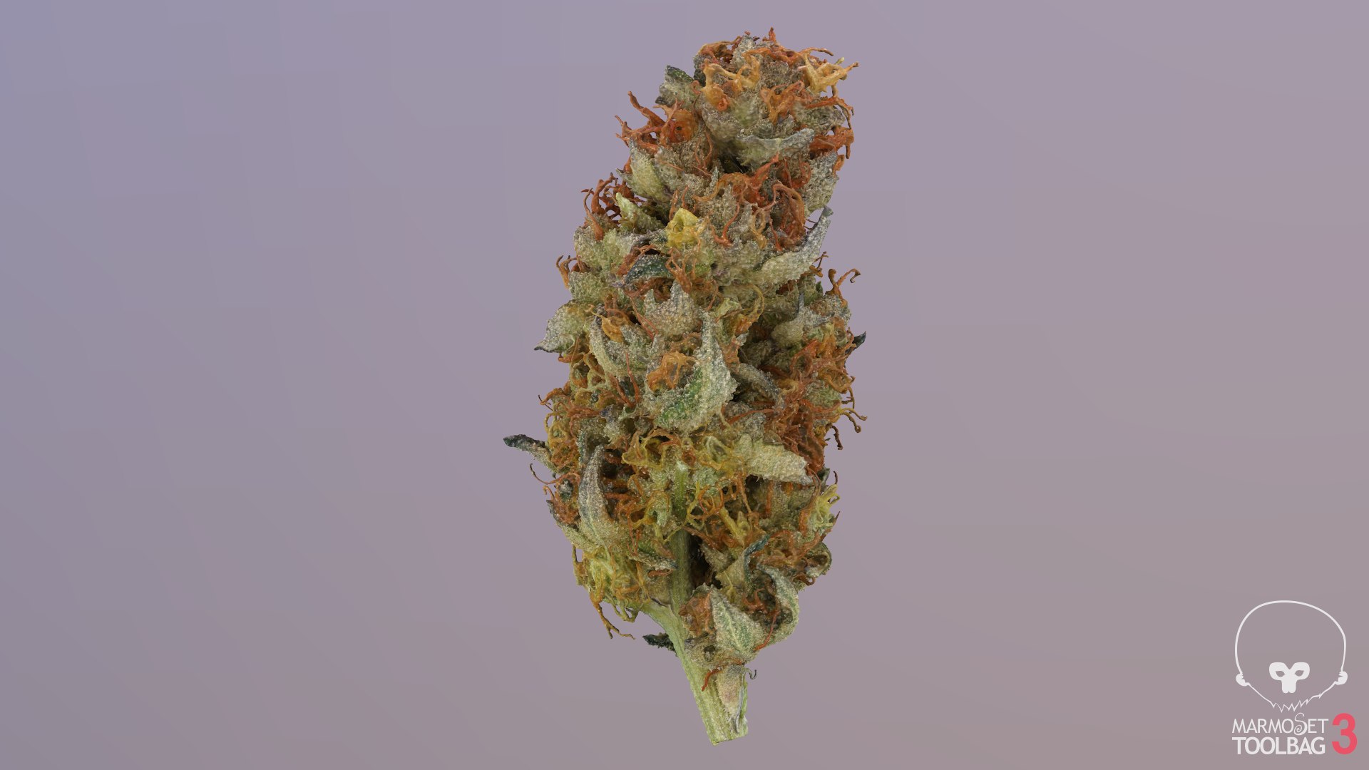 3D model Ultimate Cannabis Collection https://p.turbosquid.com/ts-thumb/l5/JrIcyp/Am/screenshot1014/png/1673678026/1920x1080/fit_q87/ab94bedd98624a5f556dc9526733b74fc493fa34/screenshot1014.jpg