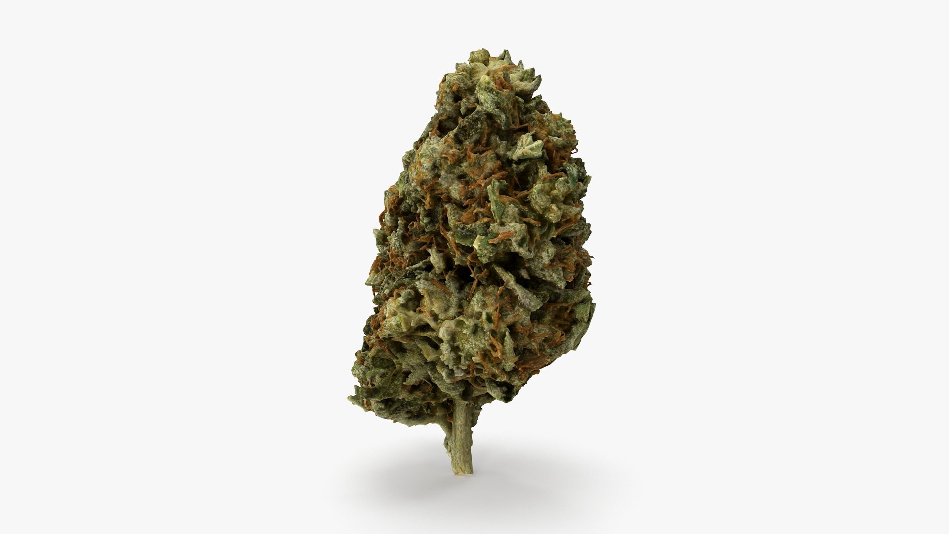 3D model Ultimate Cannabis Collection https://p.turbosquid.com/ts-thumb/l5/JrIcyp/EB/14/png/1673680204/1920x1080/fit_q87/dbc6a086378bdfbb784b67a8ea3260ce5dc9ceff/14.jpg