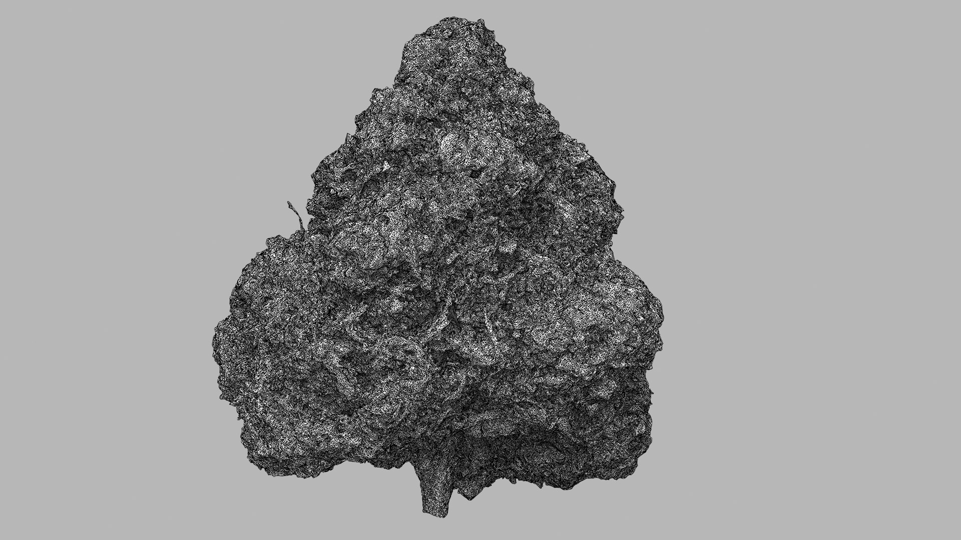 3D model Ultimate Cannabis Collection https://p.turbosquid.com/ts-thumb/l5/JrIcyp/EH/sdog3_r1w/png/1673678173/1920x1080/fit_q87/9e1aecf929f55afbcc9039e80e08185e3e61d413/sdog3_r1w.jpg