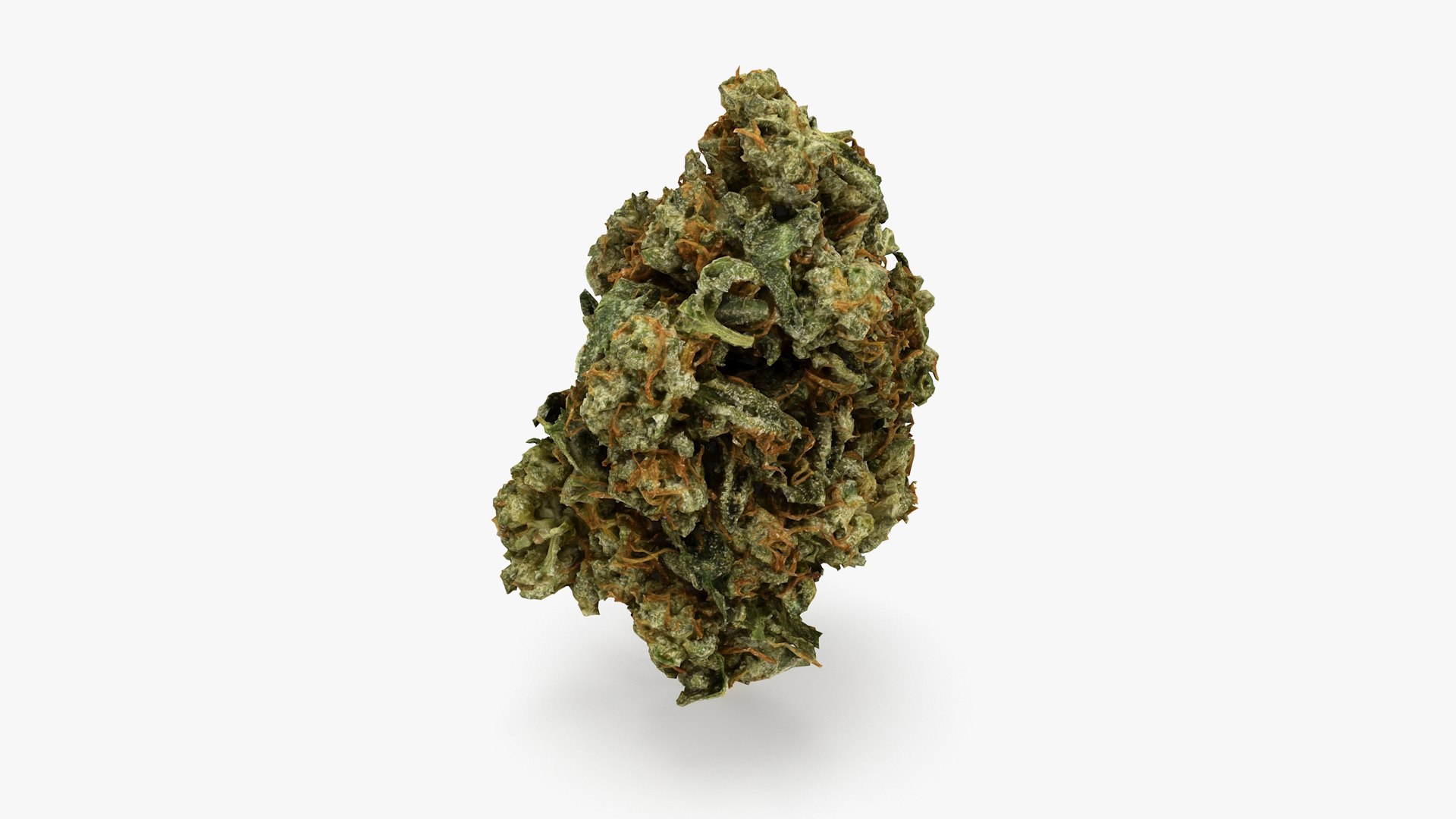 3D model Ultimate Cannabis Collection https://p.turbosquid.com/ts-thumb/l5/JrIcyp/EY/15/png/1673680205/1920x1080/fit_q87/e5745a0f796f14cdbfa4936153b1699ce1155822/15.jpg