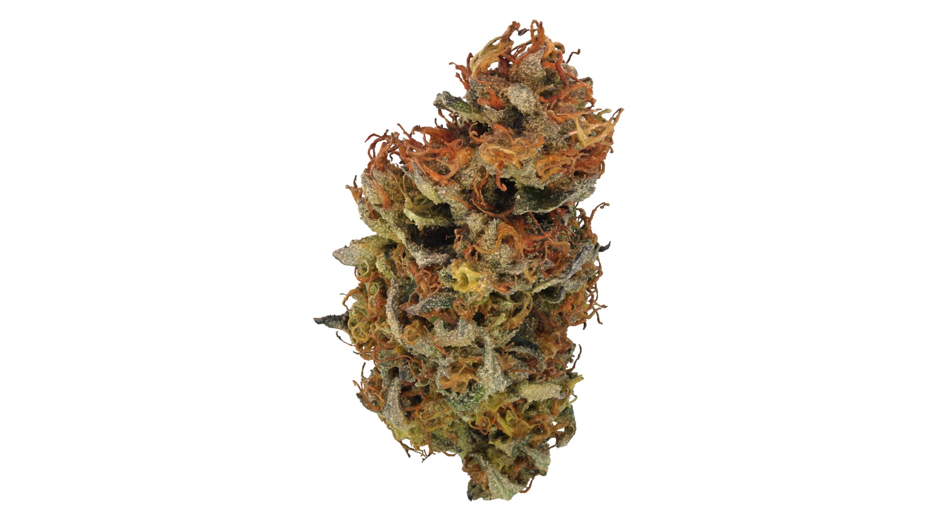 3D model Ultimate Cannabis Collection https://p.turbosquid.com/ts-thumb/l5/JrIcyp/HZ/punchout_r4/png/1673678024/1920x1080/fit_q87/e1954534de2c34556078abcf9f355a7f449b4777/punchout_r4.jpg