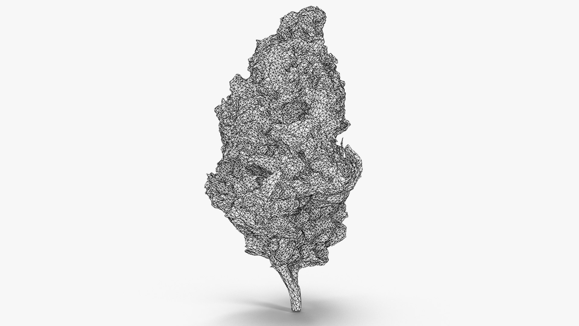 3D model Ultimate Cannabis Collection https://p.turbosquid.com/ts-thumb/l5/JrIcyp/I3/6/png/1673680164/1920x1080/fit_q87/81bcc753499ac04363223d51bbdec549f6aa9494/6.jpg