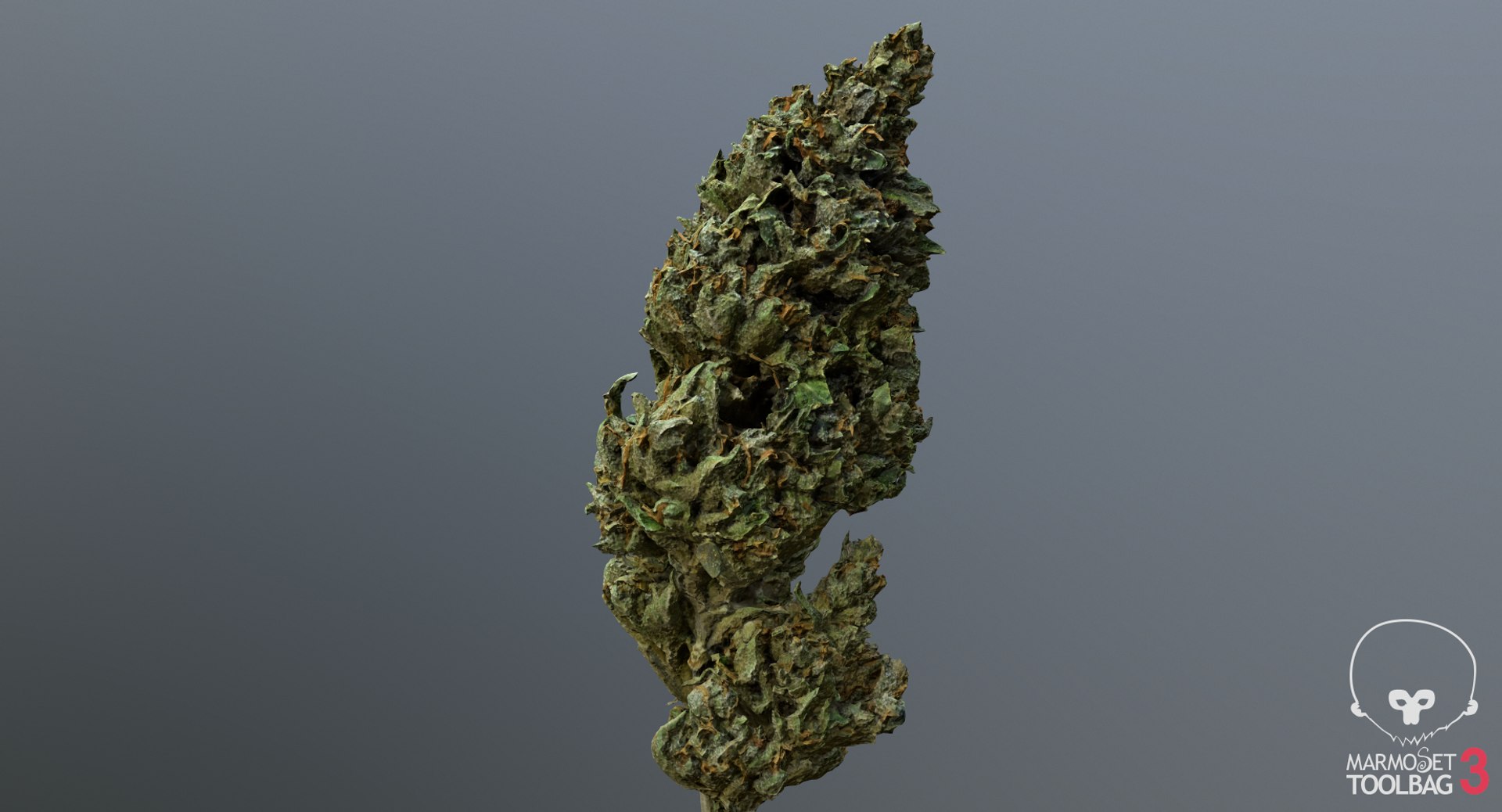 3D model Ultimate Cannabis Collection https://p.turbosquid.com/ts-thumb/l5/JrIcyp/KE/screenshot673/png/1673679134/1920x1080/fit_q87/47053a0ef713eca25c31bcab452071bdd5bee2fa/screenshot673.jpg