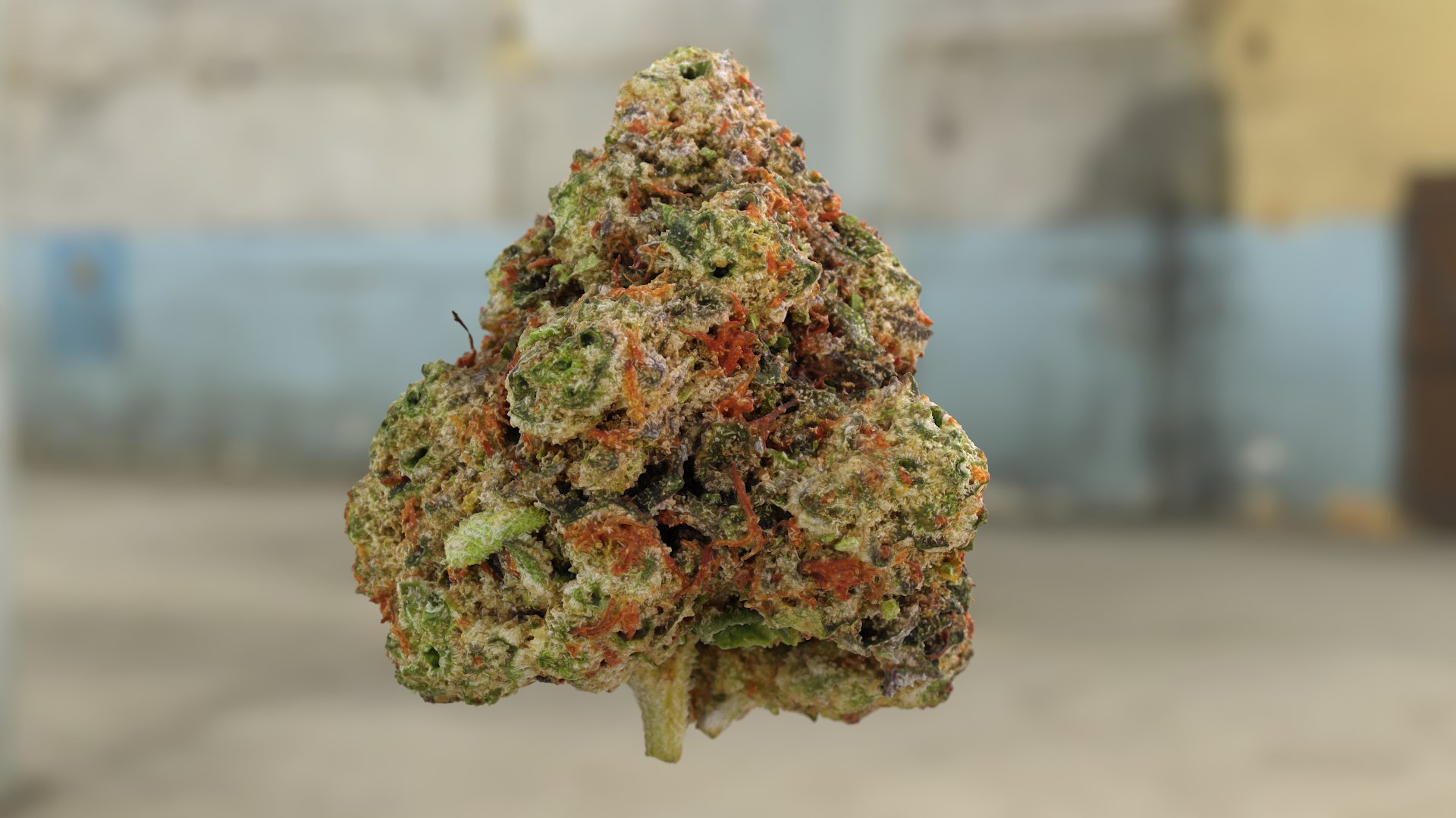 3D model Ultimate Cannabis Collection https://p.turbosquid.com/ts-thumb/l5/JrIcyp/L2/sdog3_r1c/png/1673678179/1920x1080/fit_q87/731278405db3d31fc6fa906b239414fcaae570ef/sdog3_r1c.jpg