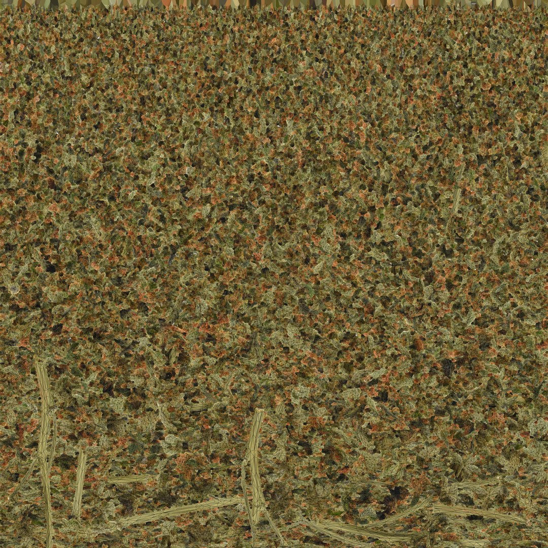 3D model Ultimate Cannabis Collection https://p.turbosquid.com/ts-thumb/l5/JrIcyp/Lp/branch04_uv/jpg/1673679747/1920x1080/fit_q87/0a21b21581291c9fc91419d510dd0d4892b1b811/branch04_uv.jpg