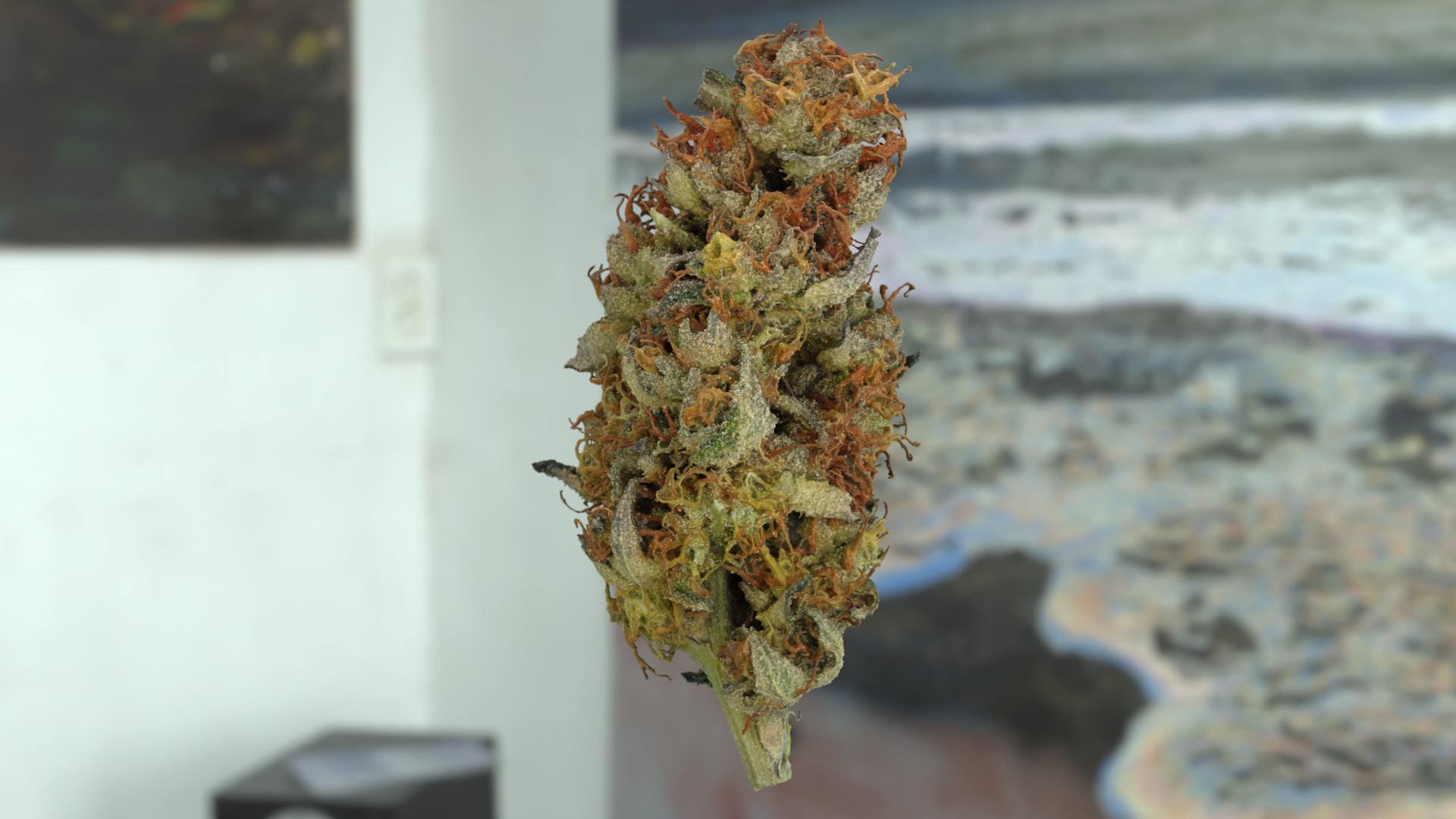 3D model Ultimate Cannabis Collection https://p.turbosquid.com/ts-thumb/l5/JrIcyp/QH/punchout_r1cc/png/1673678022/1920x1080/fit_q87/9058ad3e31b32d1f8ec9fe927b3ecd76d7daa8b3/punchout_r1cc.jpg