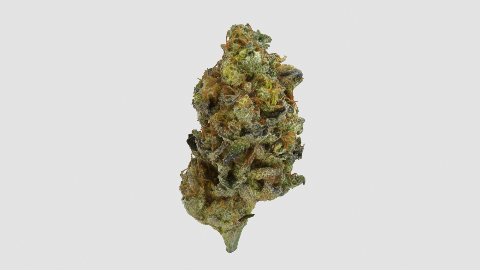 3D model Ultimate Cannabis Collection https://p.turbosquid.com/ts-thumb/l5/JrIcyp/RJ/zkittleztt/png/1673679433/1920x1080/turn_fit_q99/8c376af5d11897bfa20182e4ec03d27c7d635a93/zkittleztt-1.jpg
