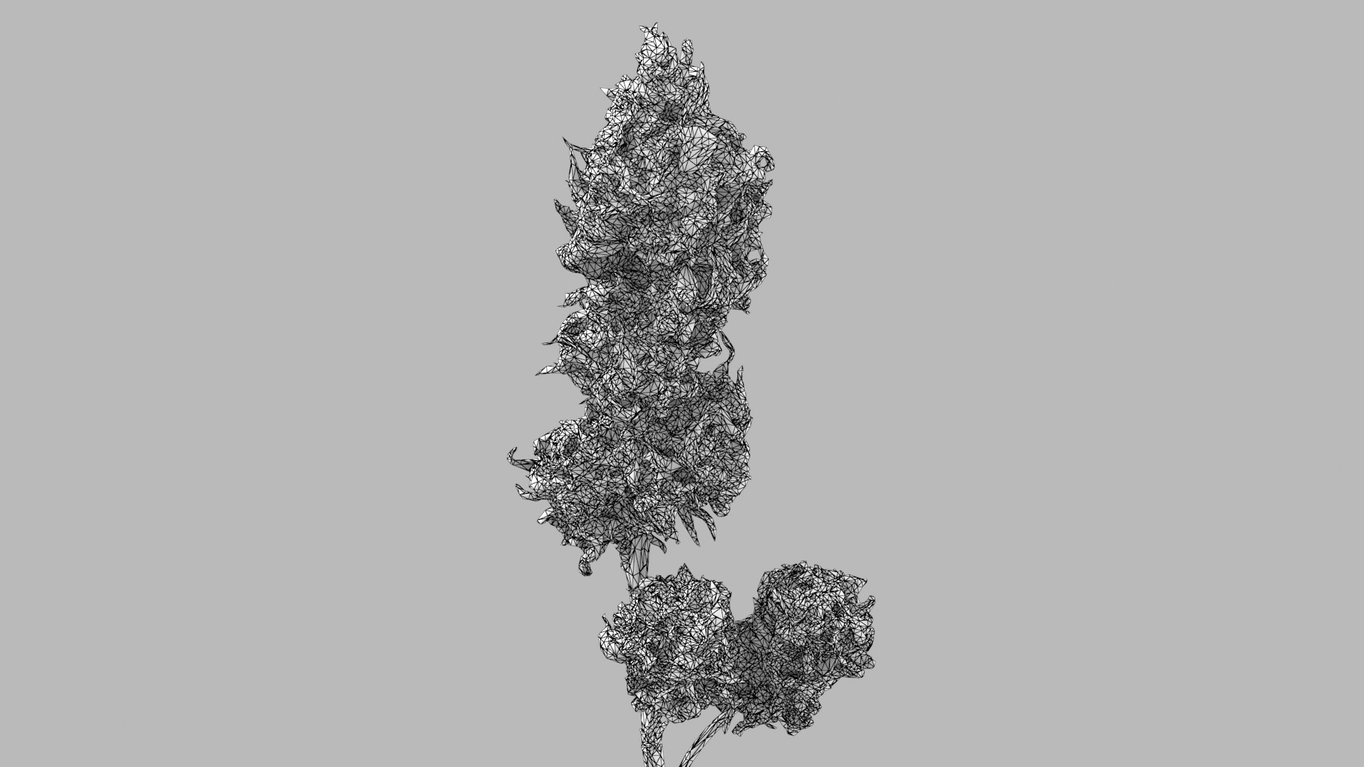 3D model Ultimate Cannabis Collection https://p.turbosquid.com/ts-thumb/l5/JrIcyp/XK/branch04_r2w/png/1673679735/1920x1080/fit_q87/3296e81767c508a872da04f38493fe92ee60a43b/branch04_r2w.jpg