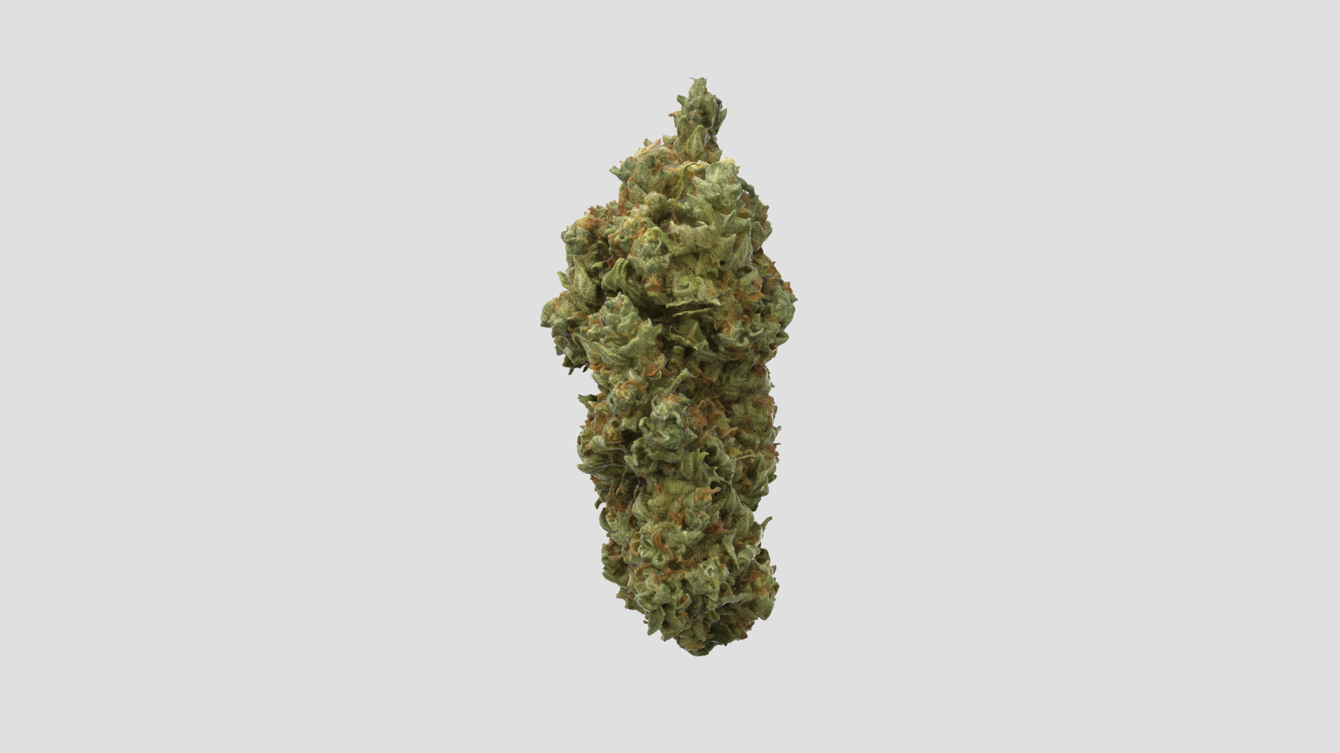 3D model Ultimate Cannabis Collection https://p.turbosquid.com/ts-thumb/l5/JrIcyp/Ya/mktt/png/1673679620/1920x1080/turn_fit_q99/b880ff323bf2250b29c99ee8eb21e4de9334c251/mktt-1.jpg
