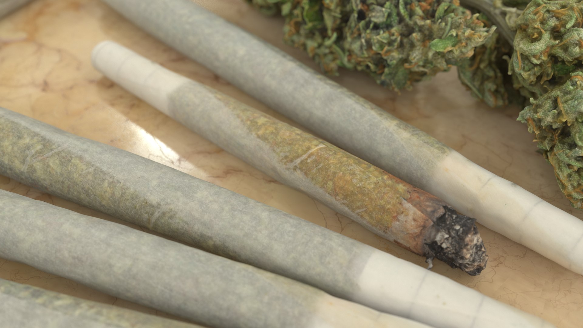3D model Ultimate Cannabis Collection https://p.turbosquid.com/ts-thumb/l5/JrIcyp/dr/joint2_r1c/png/1673678471/1920x1080/fit_q87/87ce158820fc0a385450a043559110fea372e660/joint2_r1c.jpg