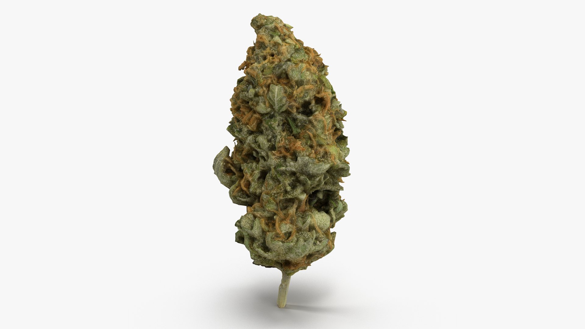 3D model Ultimate Cannabis Collection https://p.turbosquid.com/ts-thumb/l5/JrIcyp/jk/4/png/1673680163/1920x1080/fit_q87/8e2a360ec7400842957d94180a103ab2eb24d977/4.jpg