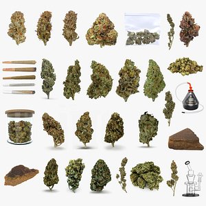3D model Ultimate Cannabis Collection