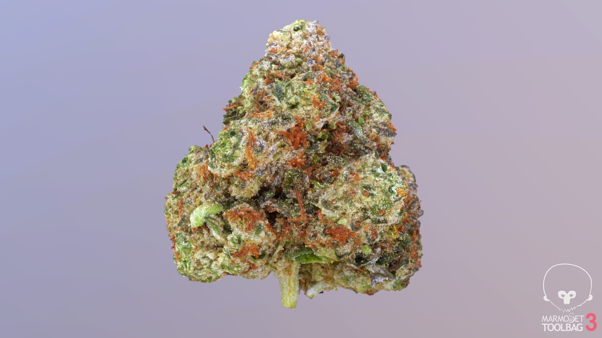 3D model Ultimate Cannabis Collection https://p.turbosquid.com/ts-thumb/l5/JrIcyp/nZ/screenshot749/png/1673678170/1920x1080/fit_q87/dc0822ea88d45b071ff2d98f87300b5d6131984d/screenshot749.jpg