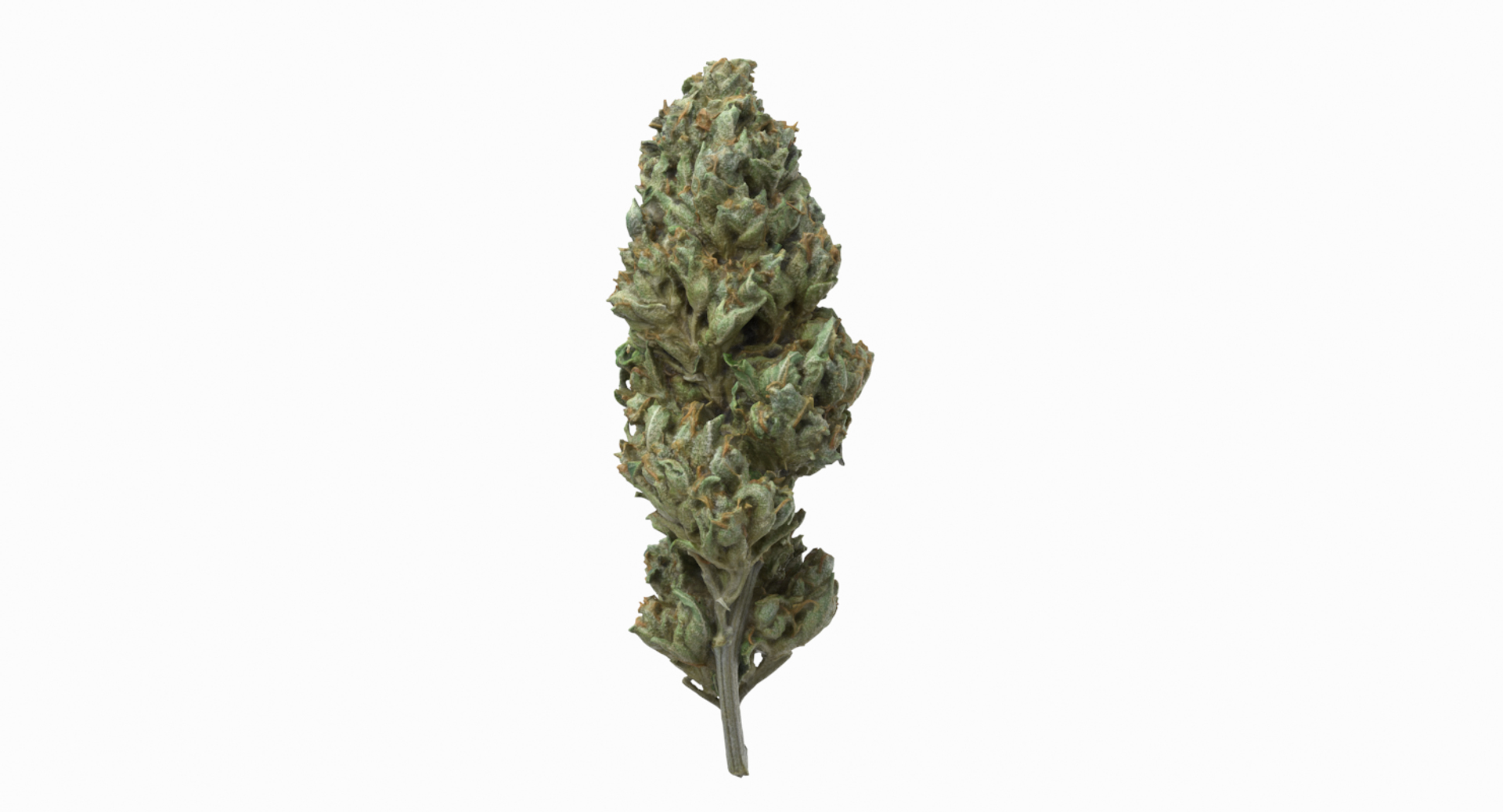 3D model Ultimate Cannabis Collection https://p.turbosquid.com/ts-thumb/l5/JrIcyp/oj/sourdieseltt/png/1673679149/1920x1080/turn_fit_q99/ed60d9e6fdc020a9e376e3baec365093a386c1fe/sourdieseltt-1.jpg