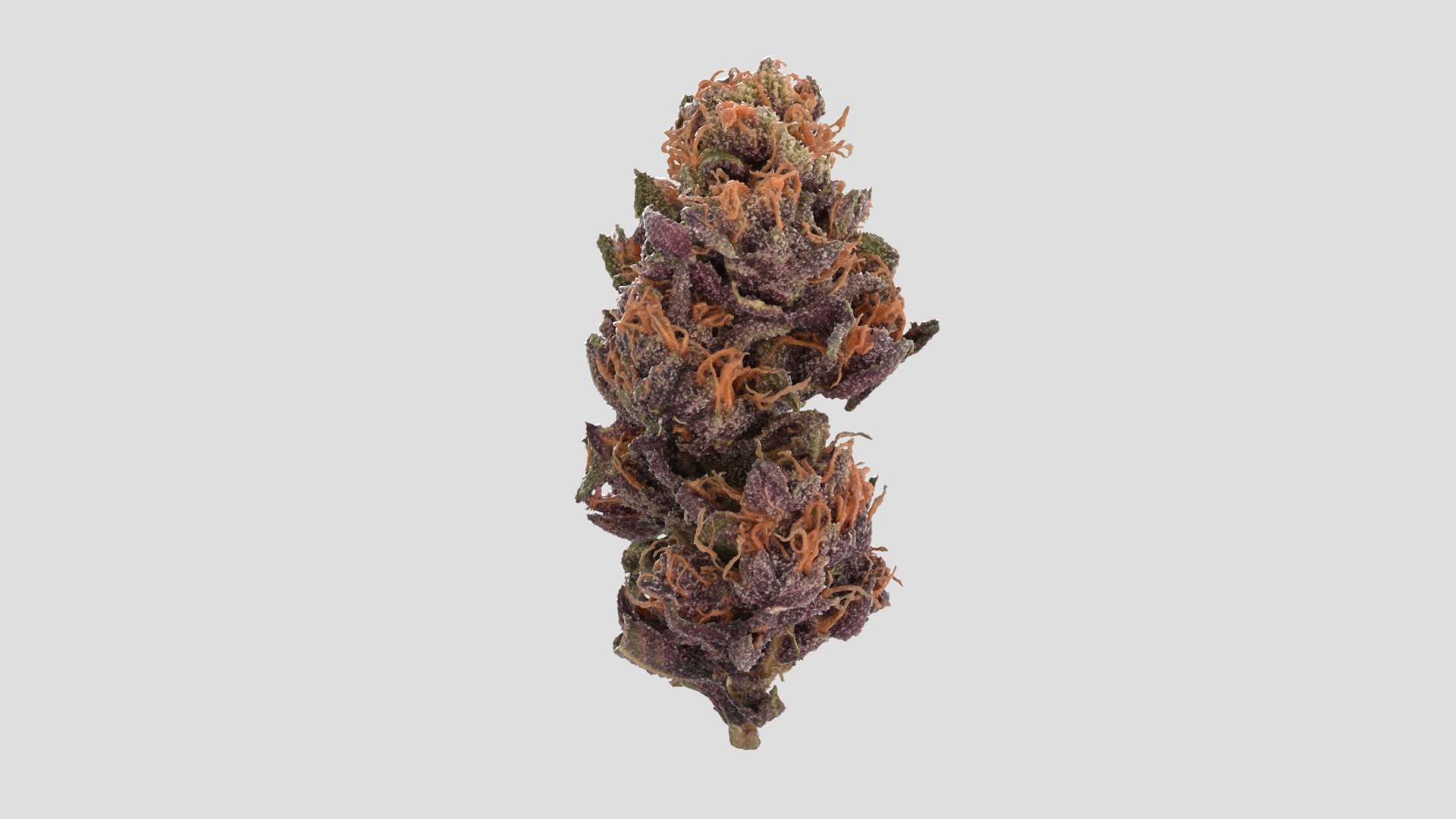 3D model Ultimate Cannabis Collection https://p.turbosquid.com/ts-thumb/l5/JrIcyp/pv/ff_r2/png/1673678240/1920x1080/fit_q87/f508ede15ef9df6c5960d3ed95f0f02a11161857/ff_r2.jpg