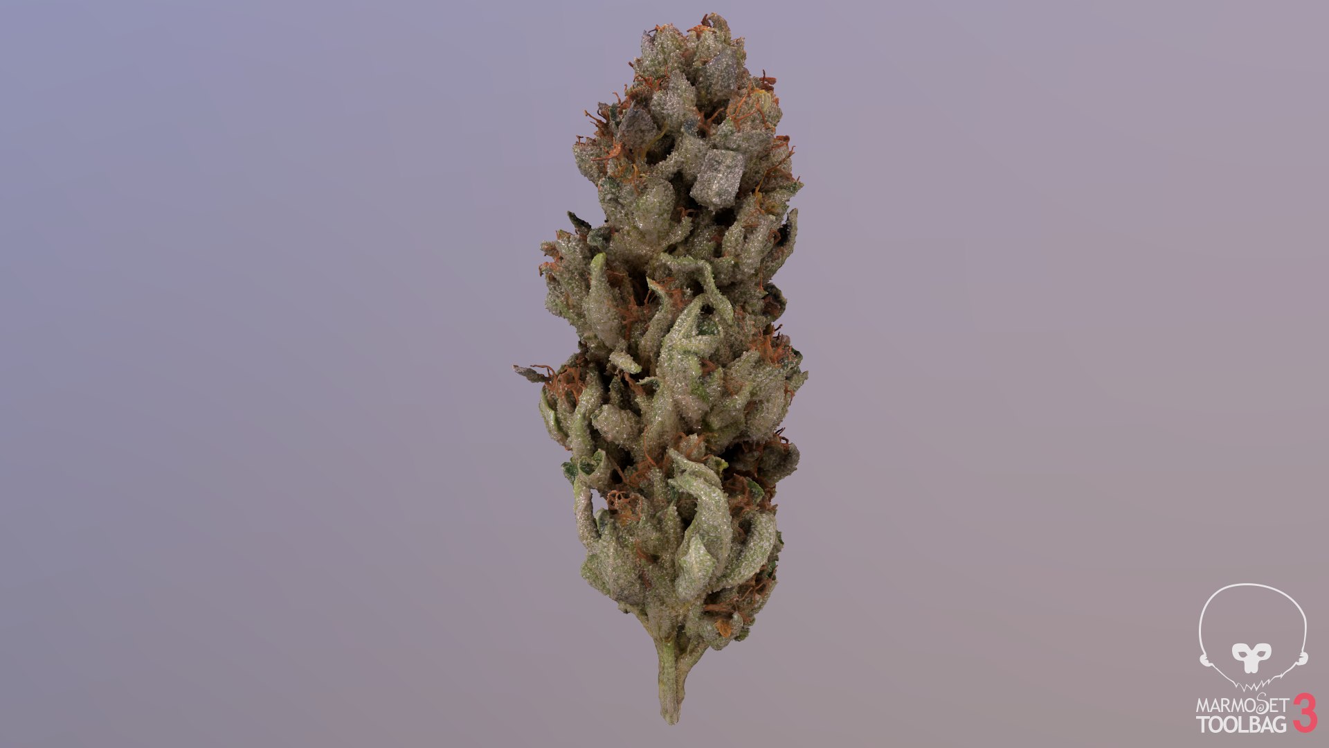 3D model Ultimate Cannabis Collection https://p.turbosquid.com/ts-thumb/l5/JrIcyp/s8/screenshot1003/png/1673678128/1920x1080/fit_q87/5d6ab7d77c4ee42ebdf69ff4b76d7a3afc462783/screenshot1003.jpg