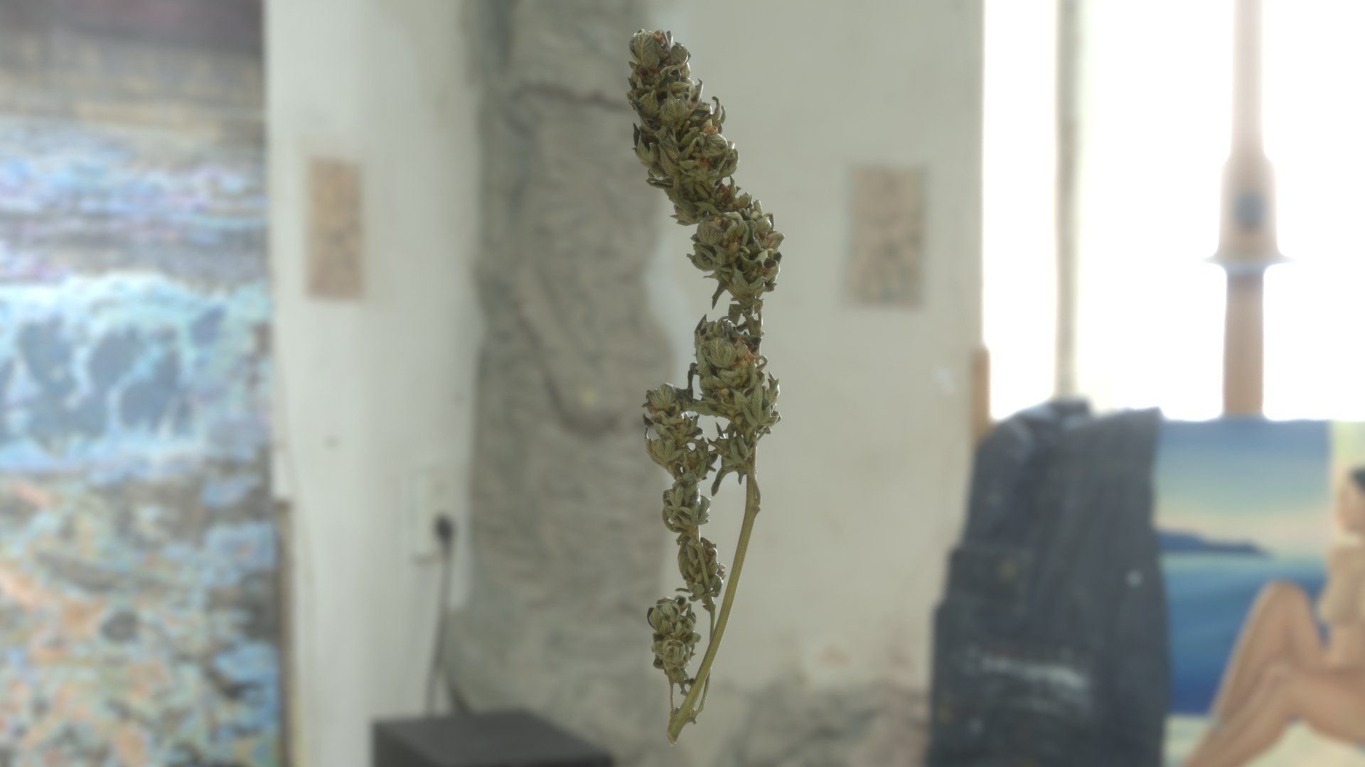 3D model Ultimate Cannabis Collection https://p.turbosquid.com/ts-thumb/l5/JrIcyp/sl/branch01_r1c/png/1626239675/1920x1080/fit_q87/0994f02ded17c69e43080ee10495cb660d81aea8/branch01_r1c.jpg