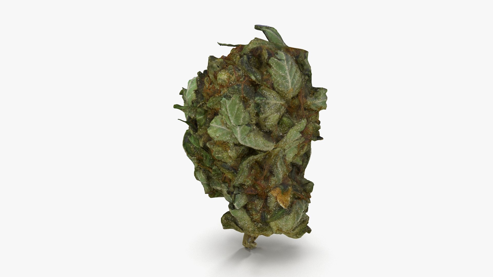 3D model Ultimate Cannabis Collection https://p.turbosquid.com/ts-thumb/l5/JrIcyp/tP/19/png/1673680221/1920x1080/fit_q87/4736f297bbaffe9bef2eee81c1252ecd1c49c098/19.jpg