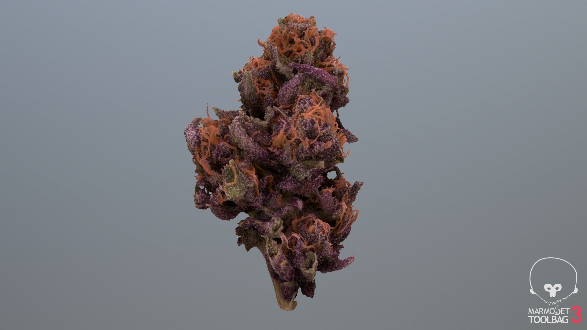 3D model Ultimate Cannabis Collection https://p.turbosquid.com/ts-thumb/l5/JrIcyp/wH/screenshot1848/png/1673678247/1920x1080/fit_q87/c323ff53bd791360f7e237bf2edc79ea03b4b702/screenshot1848.jpg