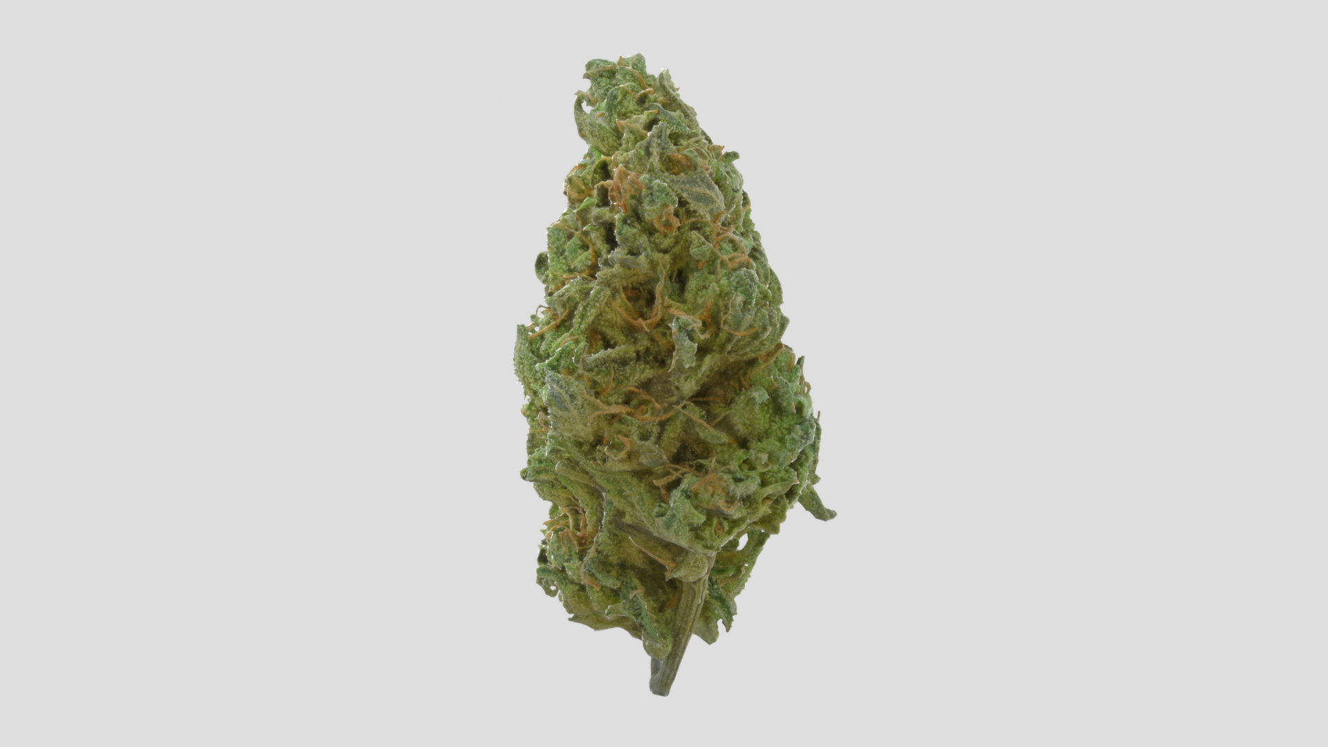 3D model Ultimate Cannabis Collection https://p.turbosquid.com/ts-thumb/l5/JrIcyp/xu/dawgtt/png/1673679950/1920x1080/turn_fit_q99/5b3a1ea3ffb12a91d03dba9d58583cfb7120e2c0/dawgtt-1.jpg