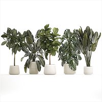 Set of beautiful plants and trees in pots for decoration 1322