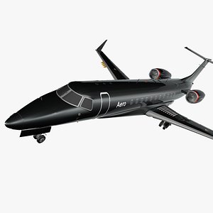 3D Aero N809TD Embraer 135BJ Legacy 600  L2207
