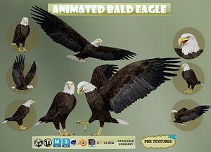 Animated Realistic Bald Eagle 3D model