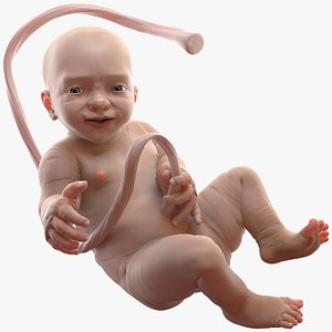 baby boy 38 weeks 3D model