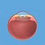 eye ball structure