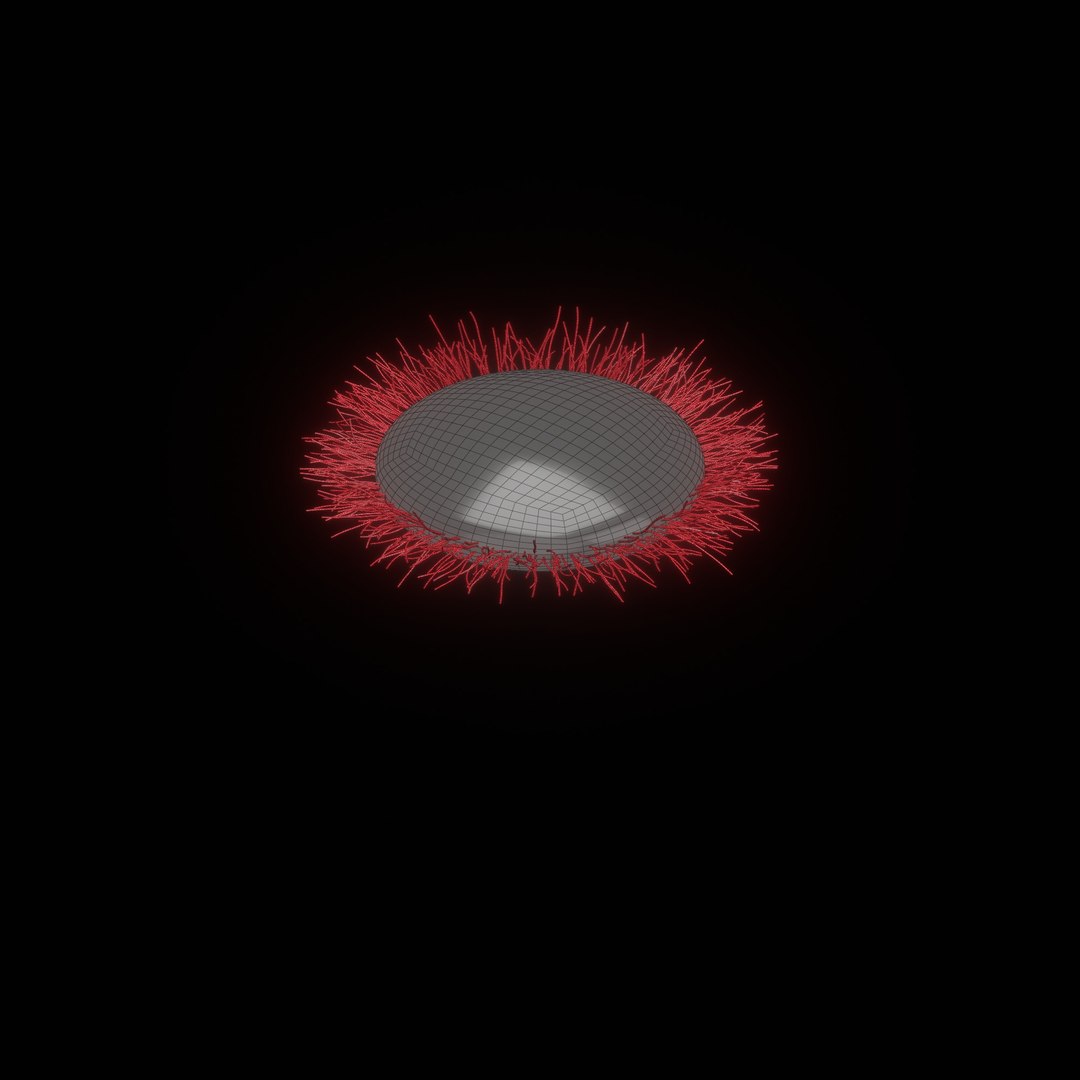 3D eye ball structure model https://p.turbosquid.com/ts-thumb/l6/A5Rz1D/gv/wire13/jpg/1692541737/1920x1080/fit_q87/ebb5c7b28c73096445704ee2a71b9e85255faf26/wire13.jpg